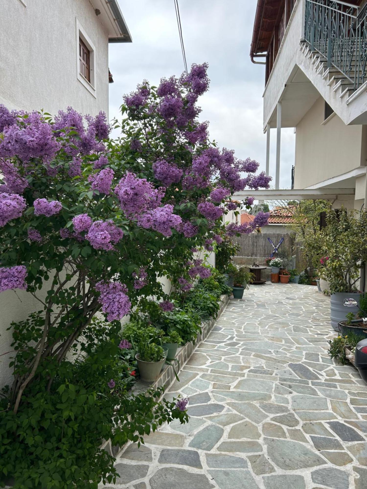 Guesthouse Doma Est 1991 أراخوفا المظهر الخارجي الصورة